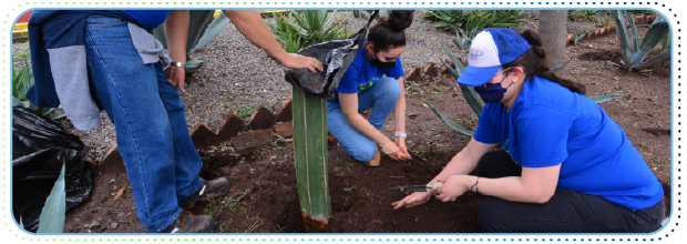 Colaboradores de Grupo Carso trabajando en equipo